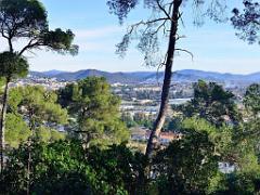 183 HYERES ET SES PALMIERS D15_000033